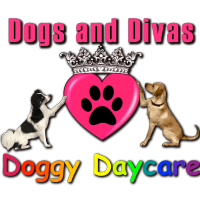 Dogs and Divas Photo