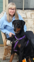 MyLuka Dog Training Solutions Photo