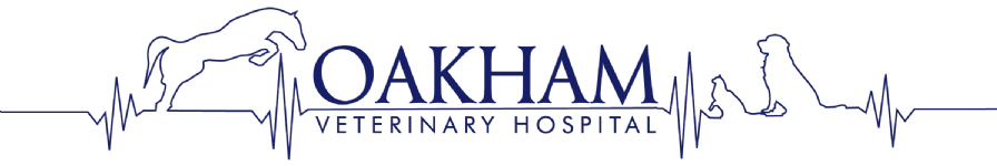 Oakham Veterinary Hospital Photo