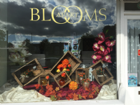 Blooms Apart Photo