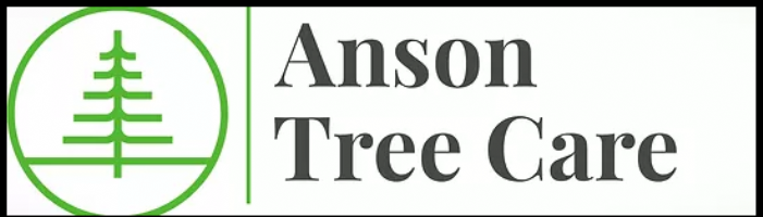 Anson Tree Care Photo