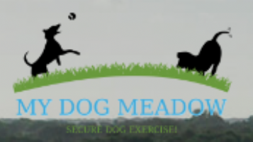 My Dog Meadow Photo