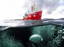 Scapa Flow Diving Holidays Photo
