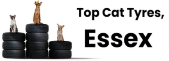 Top Cat Tyres Essex Photo