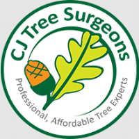 CJ Tree Surgeons Photo