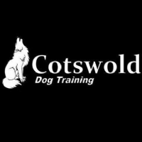 Cotswold Dog Training Photo