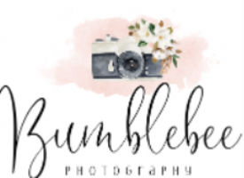 Bumblebee Photography Photo