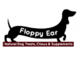 Floppy Ear Ltd Photo