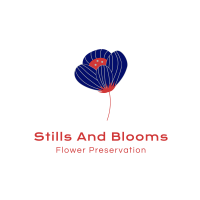 Stills And Blooms Photo