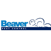 Beaver Pest control Photo