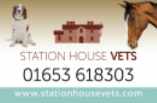 Station House Vets  Photo
