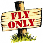 Fly Only Photo