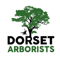 Dorset Arborists Photo