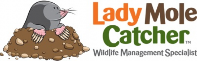 ladymolecatcher.co.uk Photo