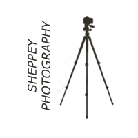 Sheppey Photography Photo