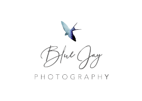 Blue Jay Photography Photo
