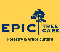 Epic Tree Care Photo