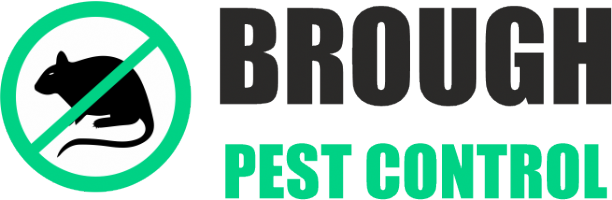 Brough Pest Control Photo