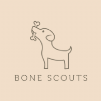 Bone Scouts Photo