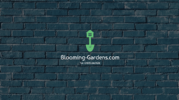 Blooming Gardens East Yorkshire ltd  Photo