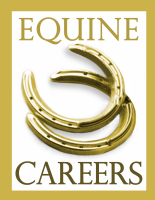 Equine Careers Photo