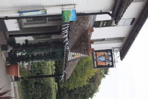 THE SELSEY ARMS Photo