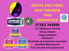 Boots and paws dog training and behaviour  Photo