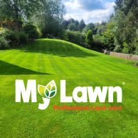My Lawn  Photo