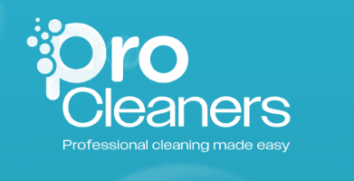 Pro Cleaners Photo