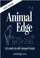 Animal Edge Photo