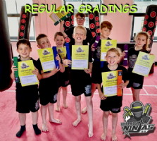 Knee high ninjas  Photo