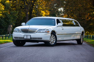 Empire limousines  Photo