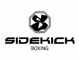 Sidekick Boxing Photo