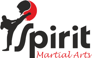 Spirit Martial Arts Photo