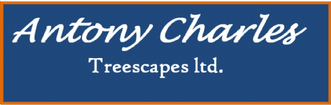 Antony Charles Treescapes Ltd Photo