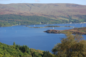 Bute Boat Tours Ltd Photo