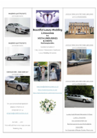 Vista Limousines Photo