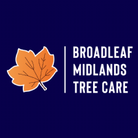 Broadleaf Midlands Tree Care Photo
