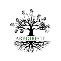 ARBDIRECT Limited Photo