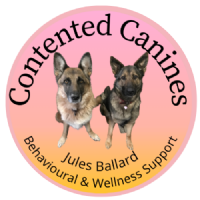 Contented Canines Photo