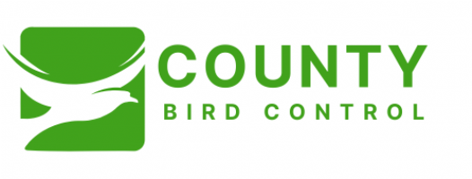 County Bird Control Photo