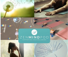 ZenMINDpod  Photo