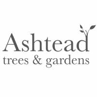 Ashtead Trees and Gardens Photo