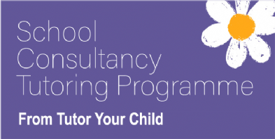 School Consultancy Programme - Maths Intervention  Photo