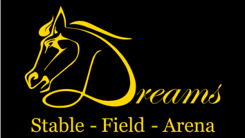 Equine Dreams Photo