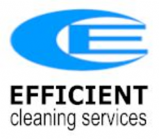 Efficient Cleaning Services Photo