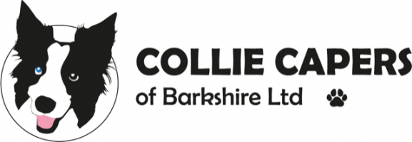 Collie Capers of Barkshire Ltd Photo