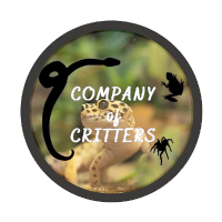 Company of Critters Photo