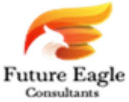 Future Eagle Consultants Photo