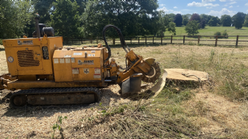 Stump Force  Photo